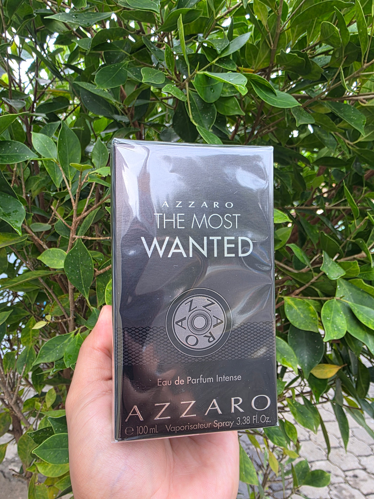 Azzaro - The Most Want Intense Edp 3.4 oz | SKU CDP271