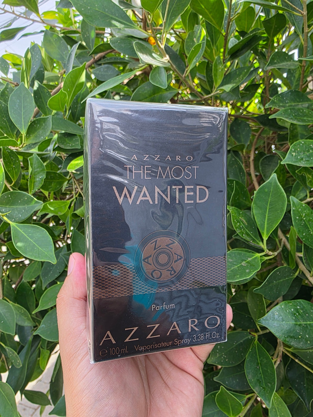Azzaro - The Most Want Parfum 3.4 oz | SKU CDP272